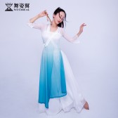 古典舞蹈服女飘逸身韵纱衣中国风现代舞演出服装中国舞练功服套装QC3179